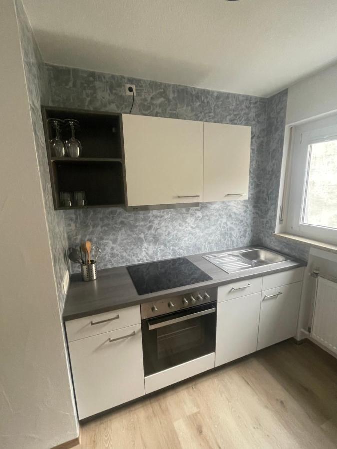 Ferienwohnung Roeck Hornberg Dış mekan fotoğraf